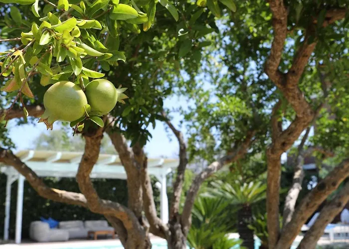 Kale B&B 지오비나조