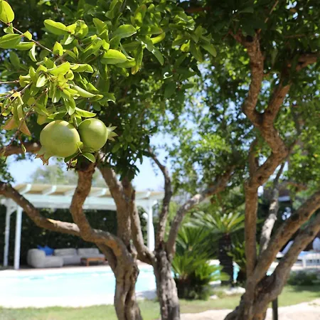 Kalè Couette-café Bari