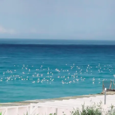 Kale 住宿加早餐酒店